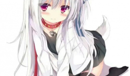 动漫图库网,探索无限创意的动漫世界